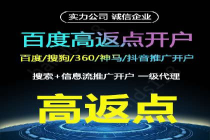 案例对比：不同竞价广告平台的优劣
